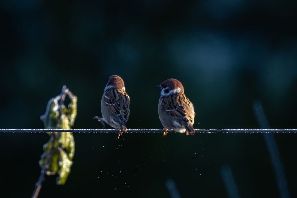 Photograph by Сергей Хабаров