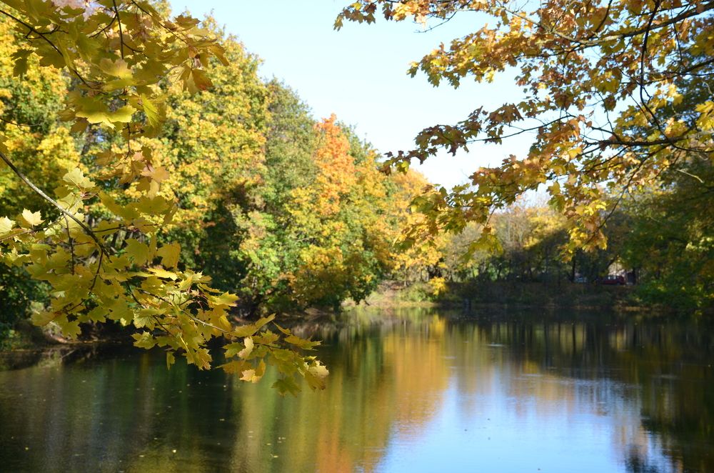 Photograph by Надежда Каравайцева