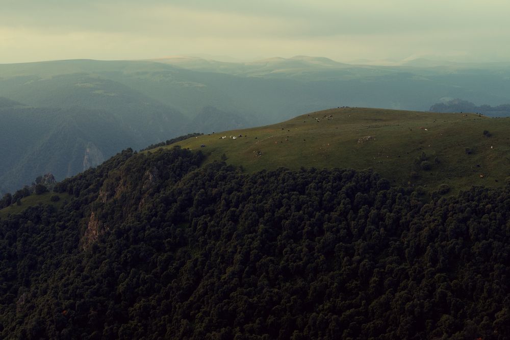 Photograph by Юрий Примак