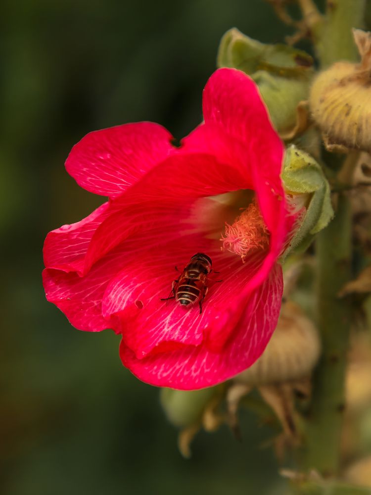 Photograph by Наталья Колеватова