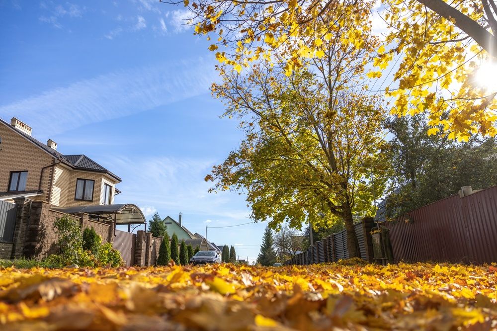 Photograph by Сергей Хабаров