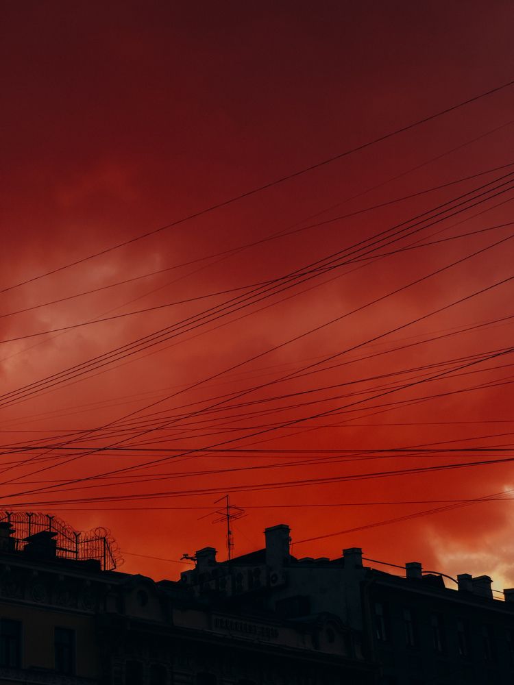 Photograph by Алиса Нежинская