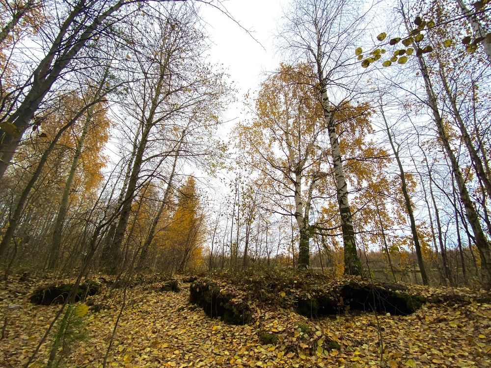 Photograph by Константин Хворостов