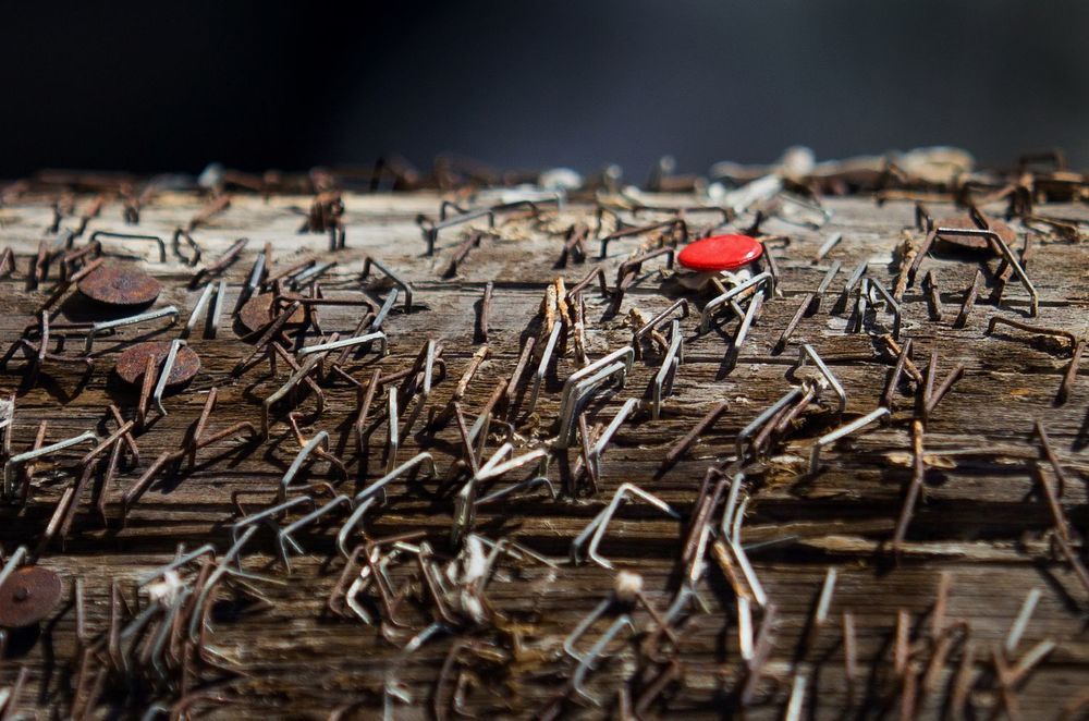 Photograph by Алиса Колпакова