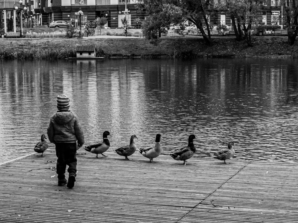 Photograph by Дмитрий Давидов