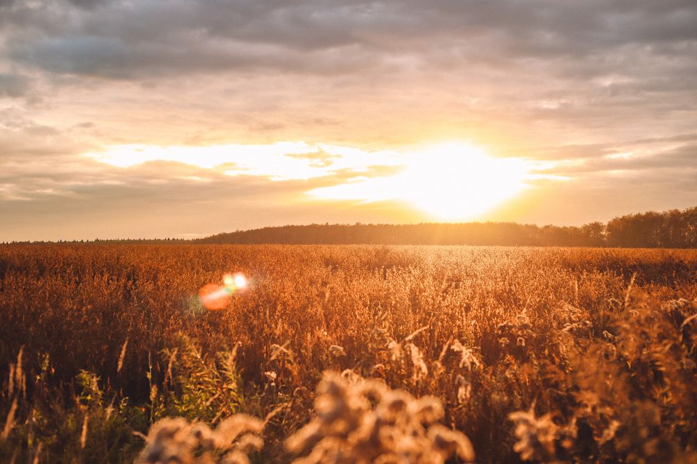 Photograph by Екатерина Зайцева