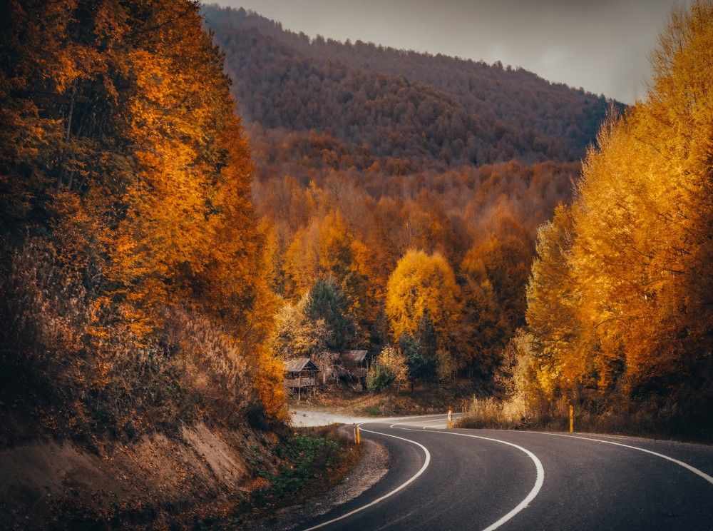 Photograph by ESRA KAYA