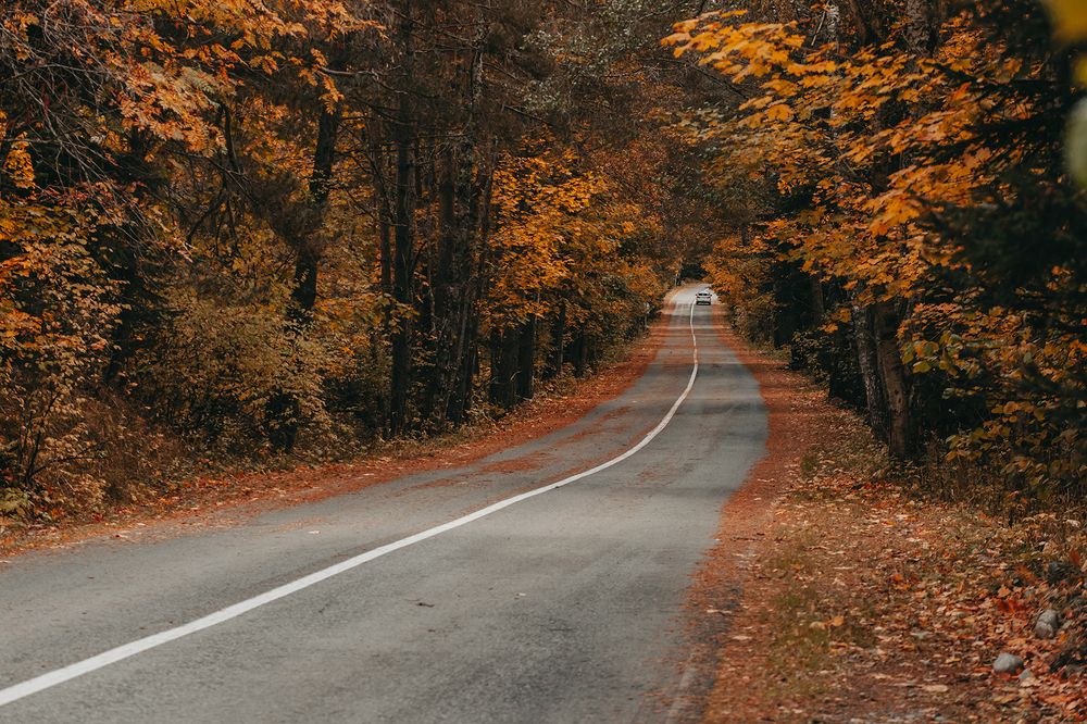 Photograph by Олеся