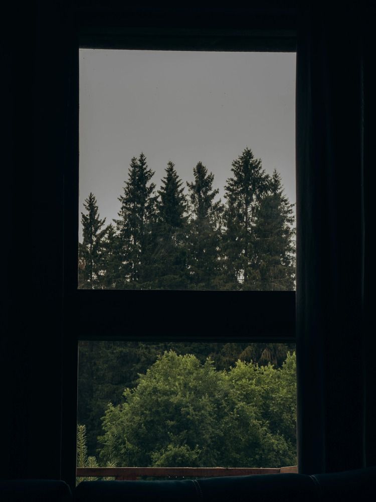 Photograph by Алиса Нежинская