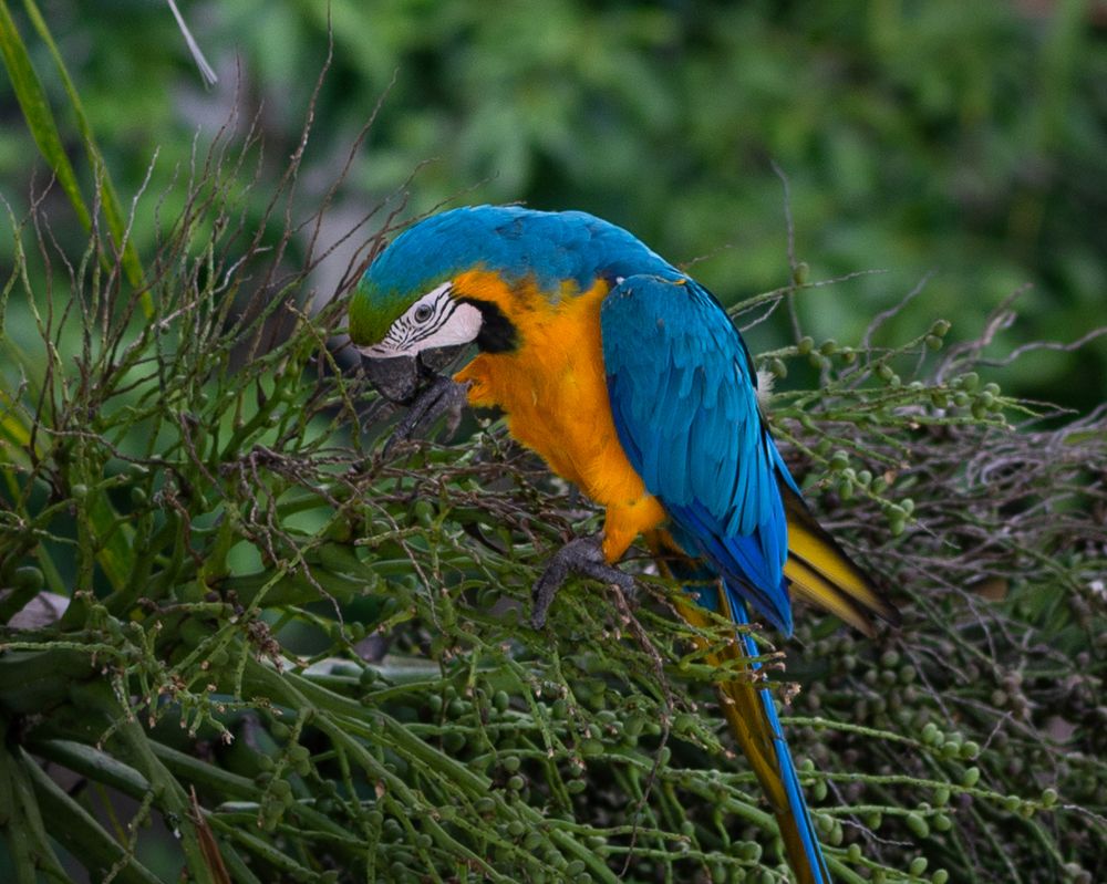 Photograph by Norberto Monagas