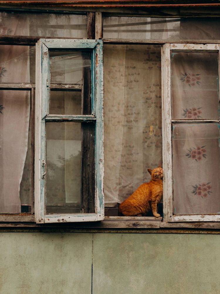 Photograph by Алиса Нежинская