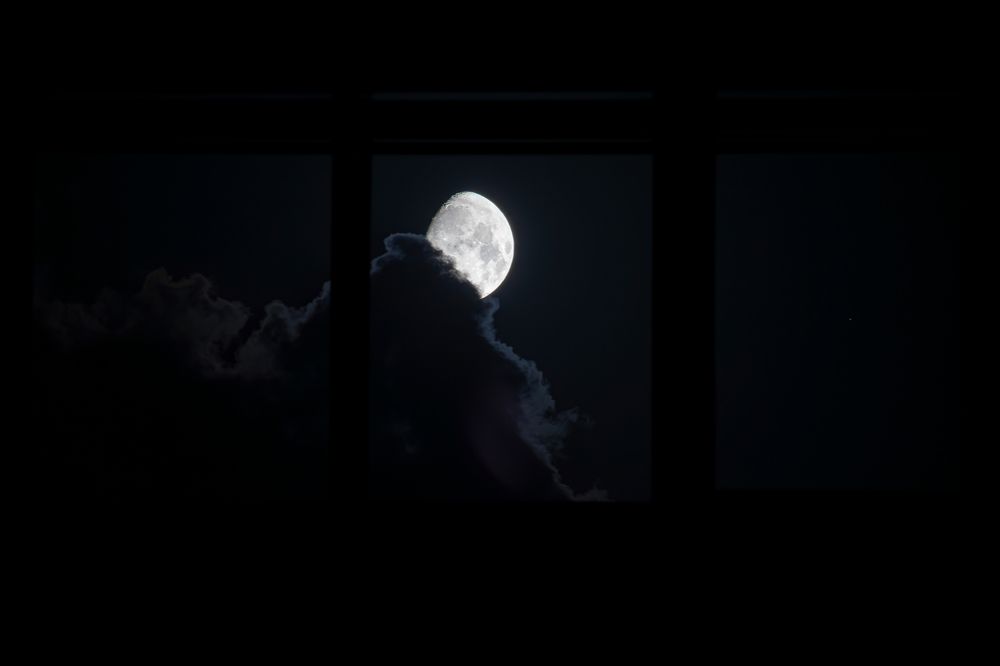 Фотография автора Amin Naderloei