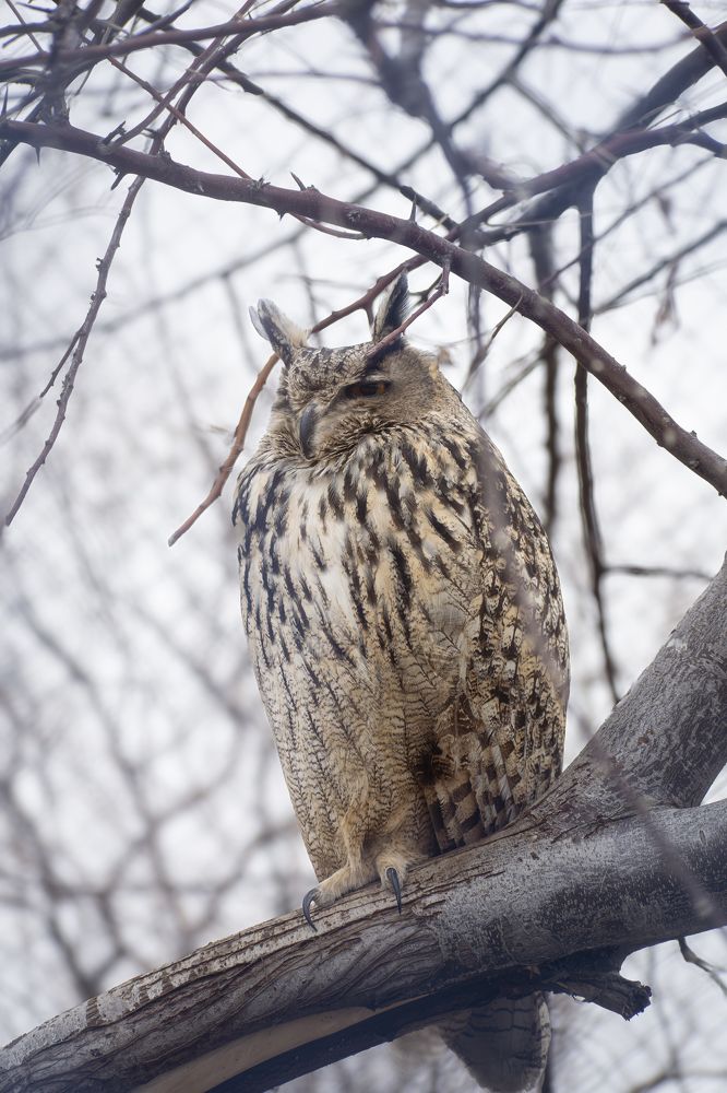 Фотография автора Amin Naderloei