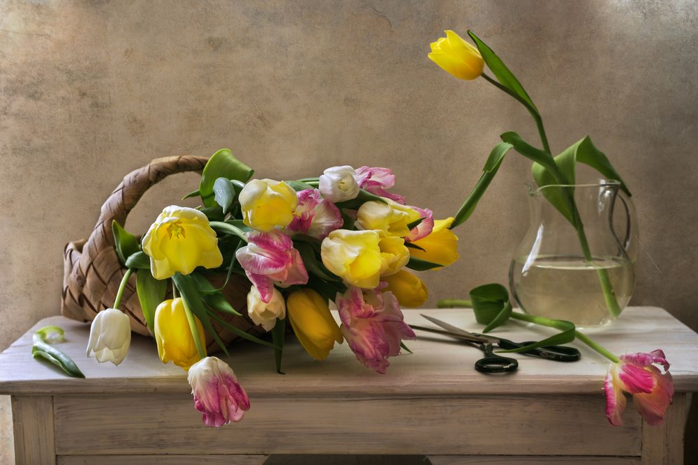 Photograph by Елизавета Шавардина