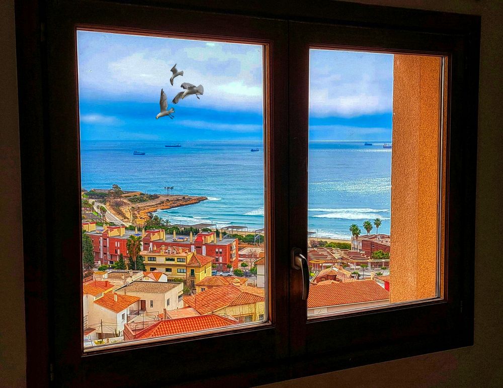 Tarragona - finestra a la casa Canals - Tarragonès