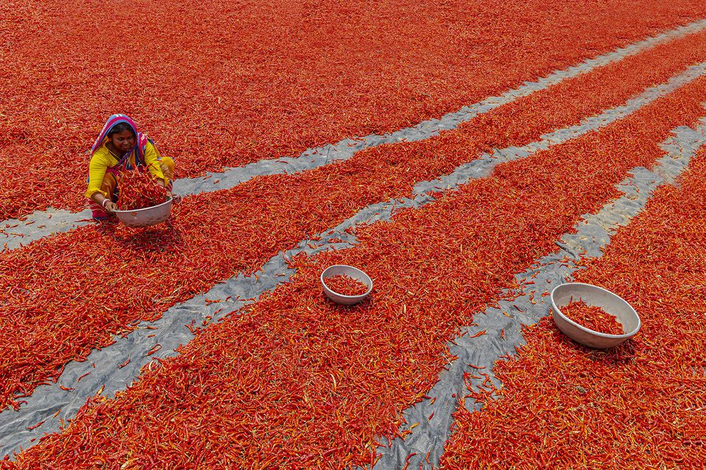 Photograph by Saumi Biswas