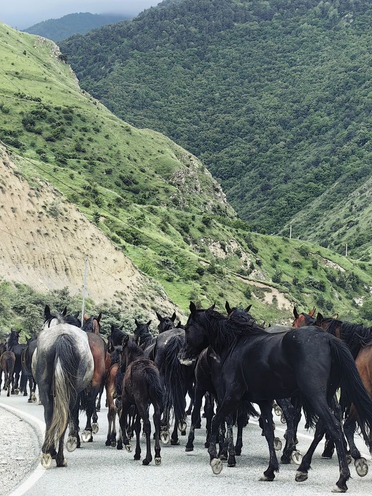 Photograph by Екатерина Исаева