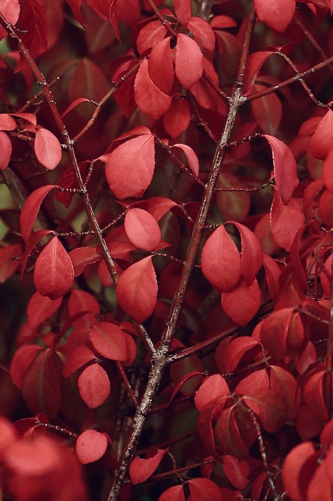 Photograph by Евгения Казакова