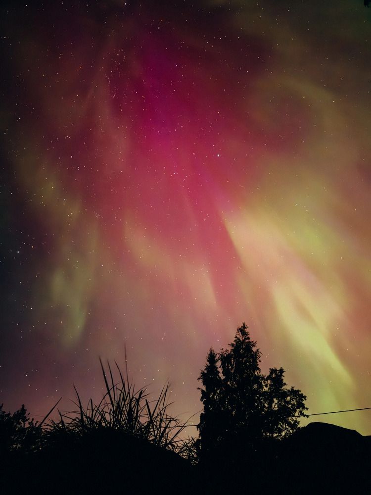 Photograph by Алиса Нежинская