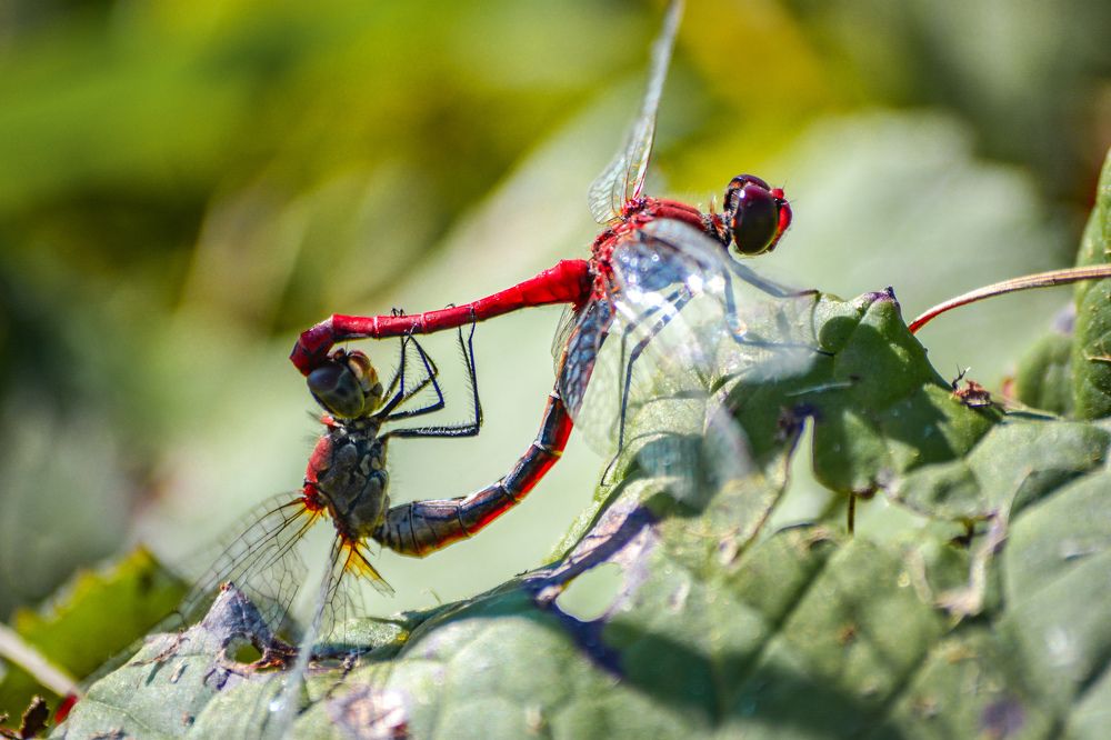 Photograph by Анастасия Гурова