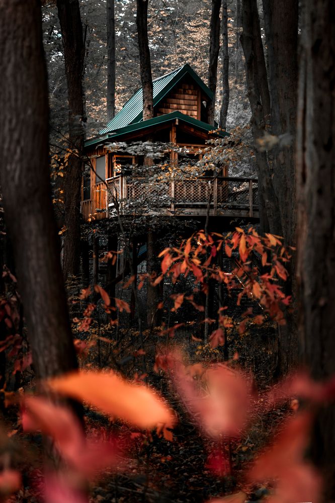 Photograph by Guanhua Yao