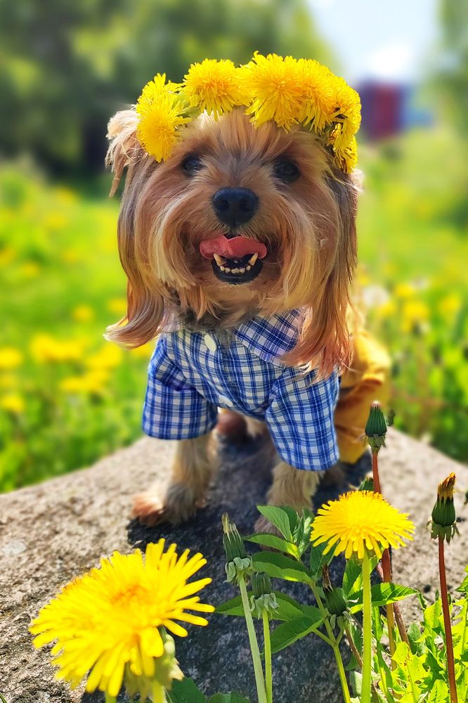 Photograph by Лолита Богачева