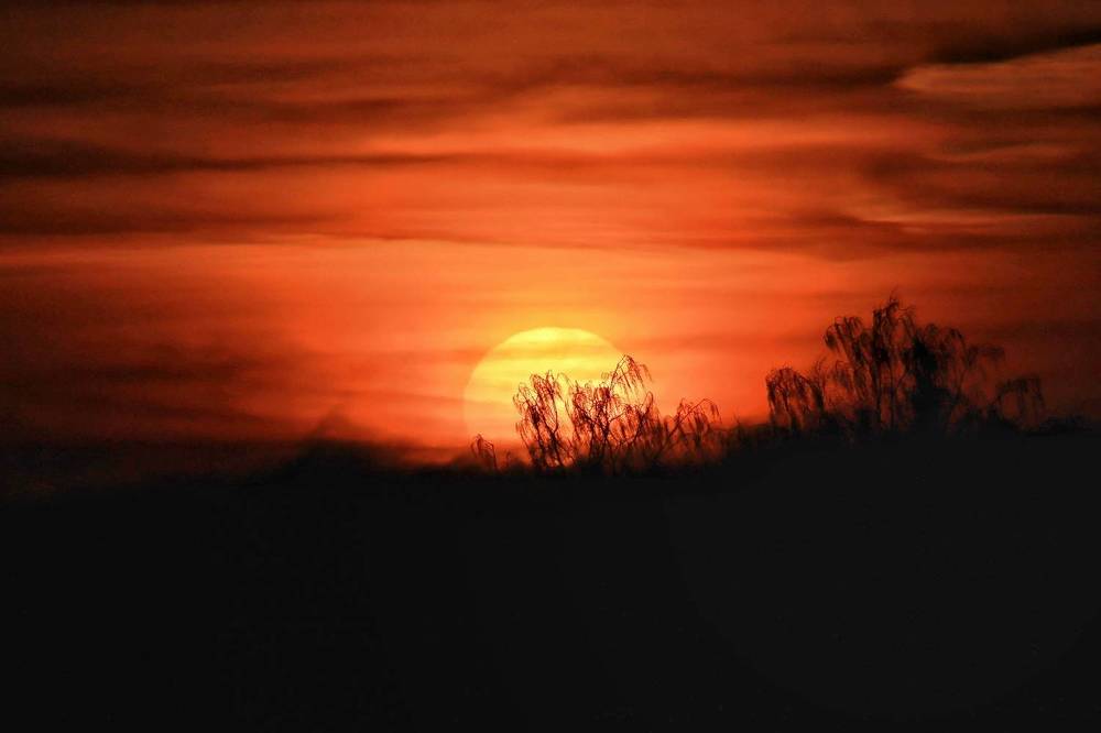 Photograph by Olga Asson