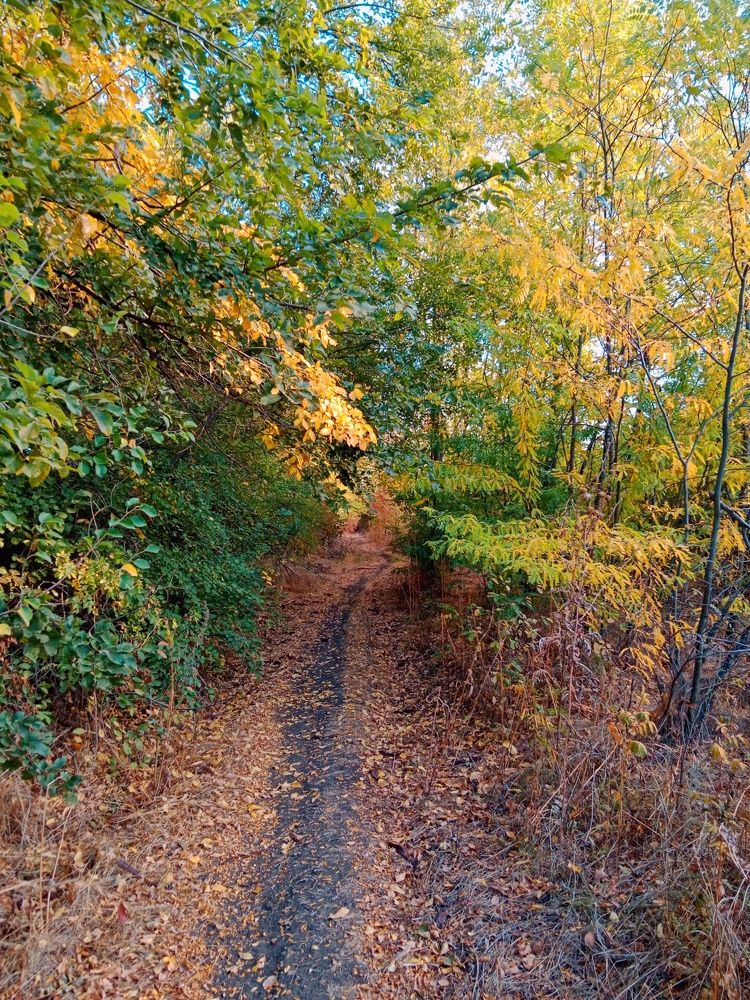 Photograph by Галина Григорьева