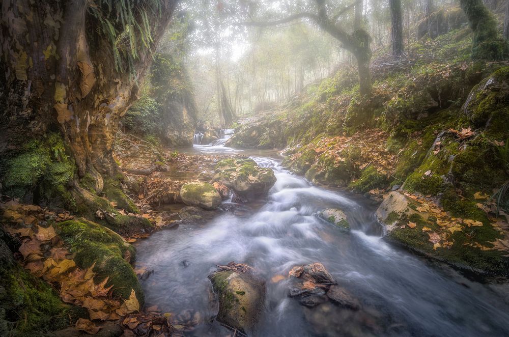 Photograph by Luis Lyons