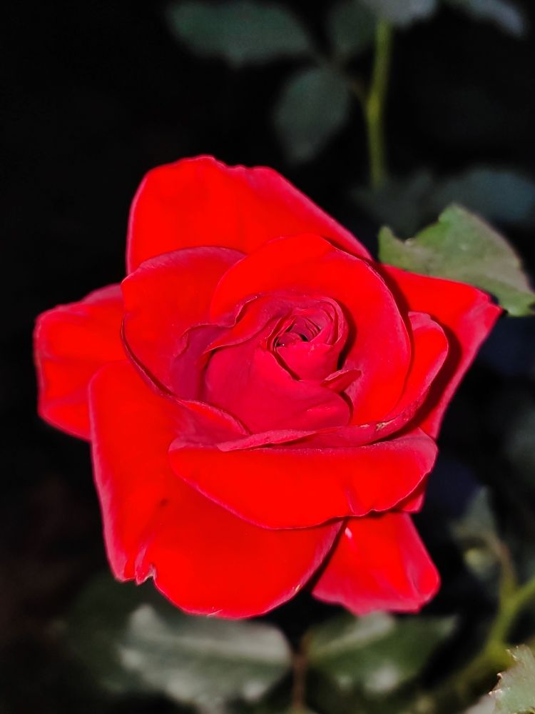 Photograph by Екатерина Борисовна Кузьмина