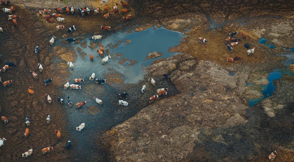 Photograph by Ольга Шацкая