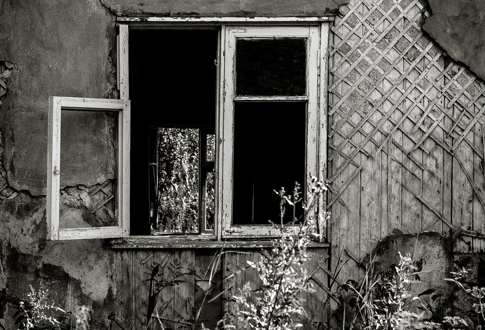 Photograph by Владимир Поздняков