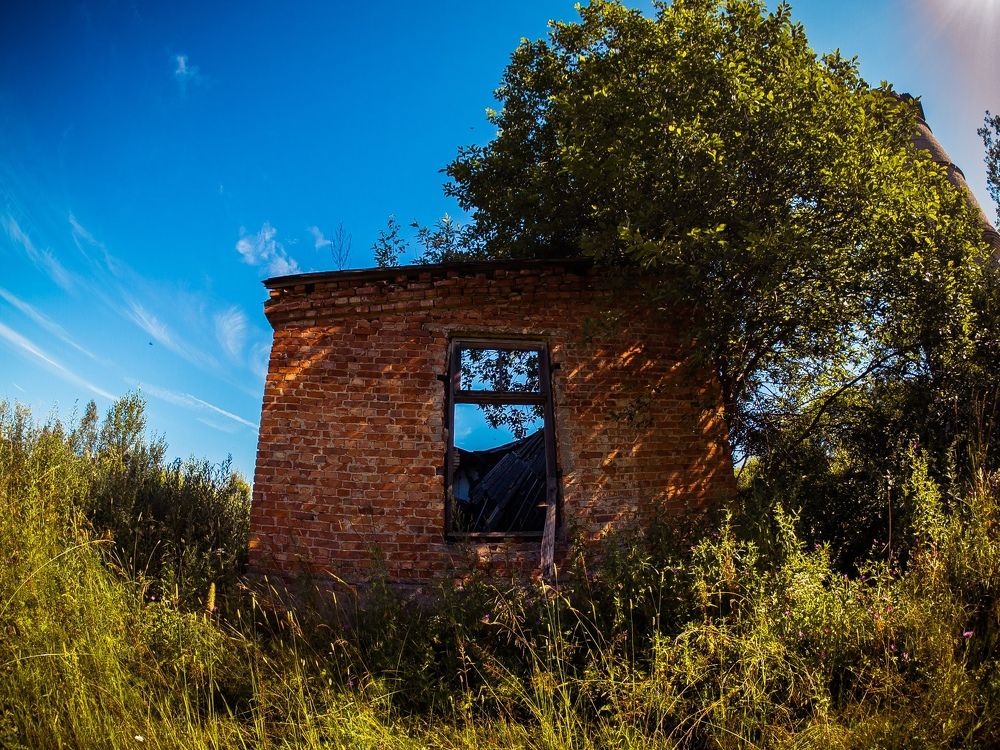 Photograph by Владимир Поздняков