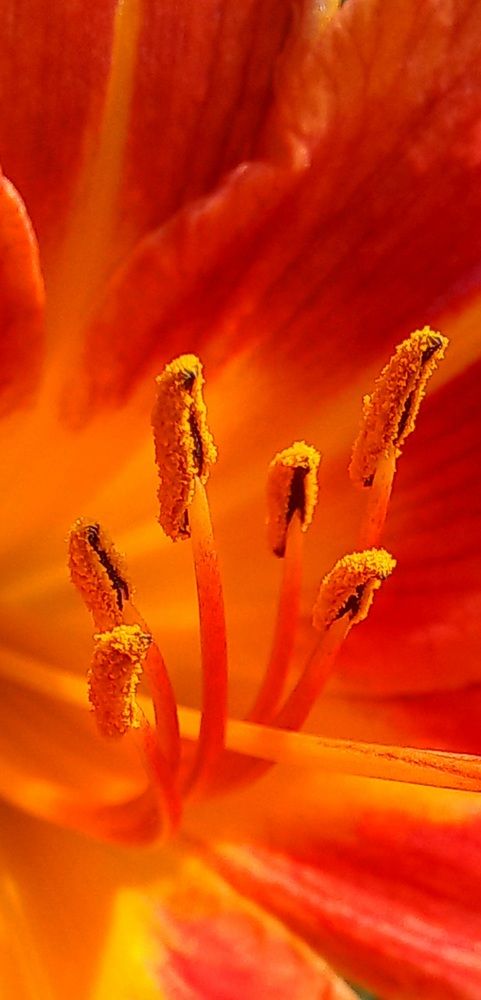 Photograph by Евгений Савулькин