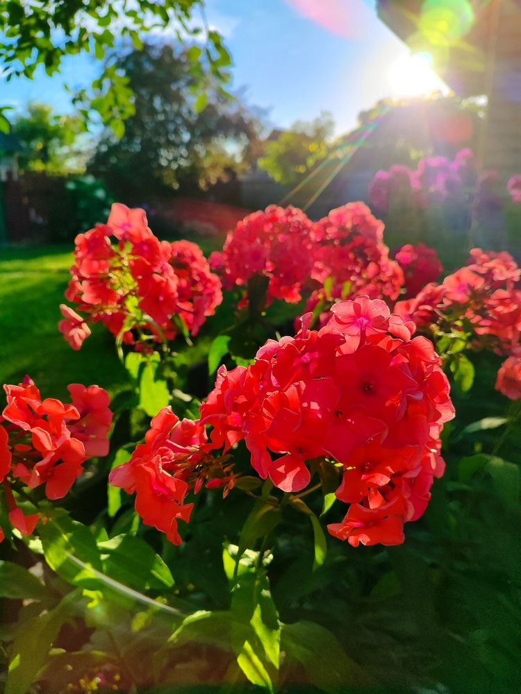 Photograph by Екатерина Борисовна Кузьмина