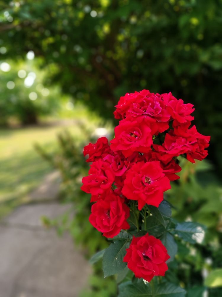 Photograph by Екатерина Борисовна Кузьмина