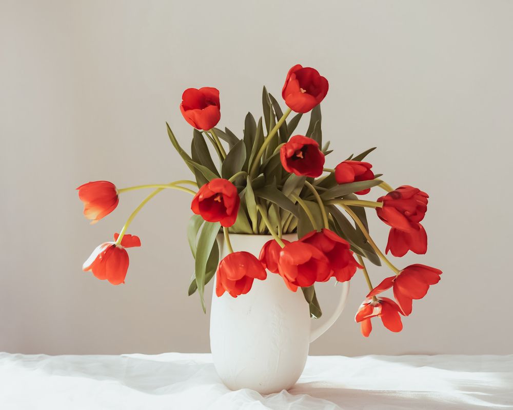 Photograph by Aga Kucinska