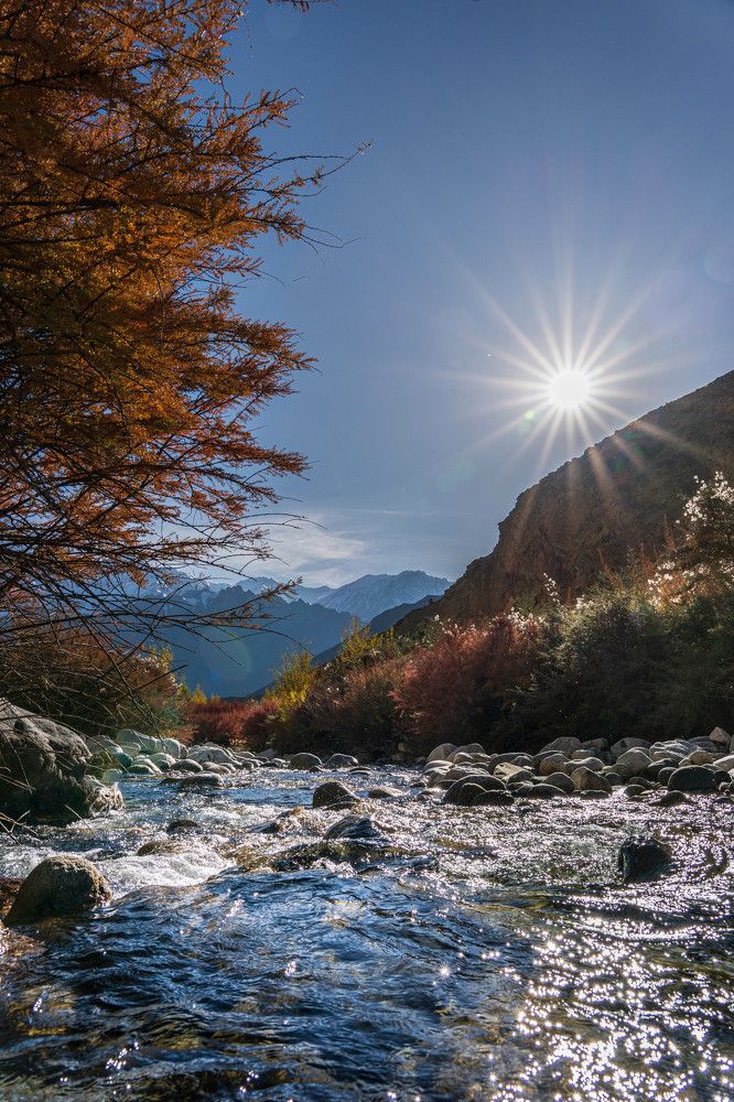 Фотография автора Afzal Khan