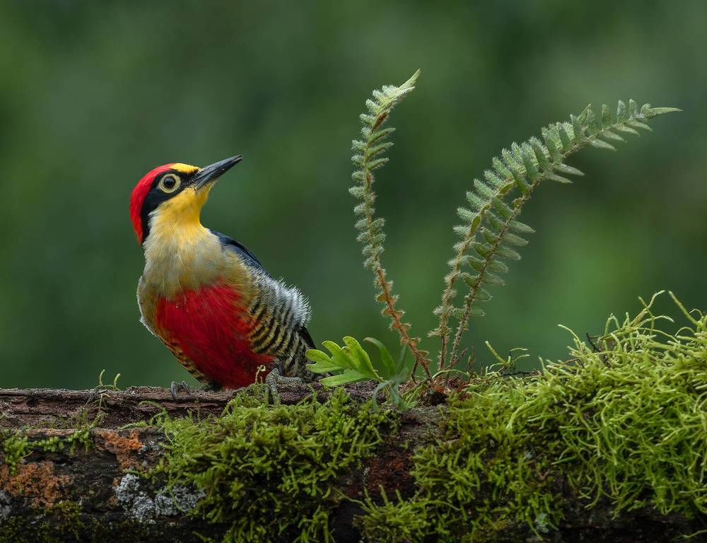 Photograph by Valdir Hobus