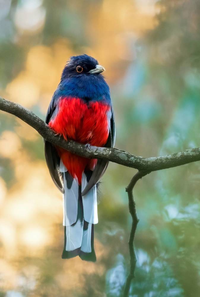 Photograph by Valdir Hobus