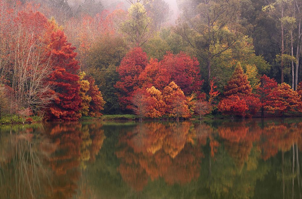 Photograph by Valdir Hobus