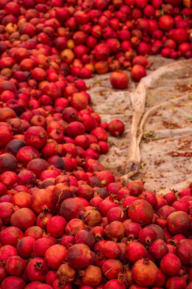 Photograph by Hengameh pirooz