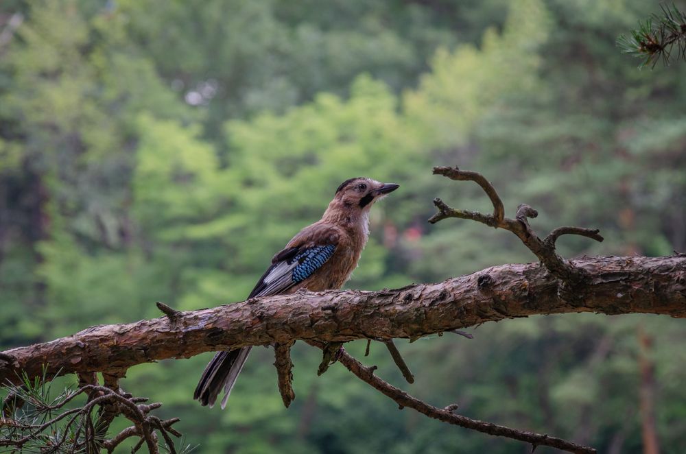 Photograph by Иван Достовалов