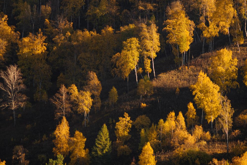 Photograph by Ольга Шацкая