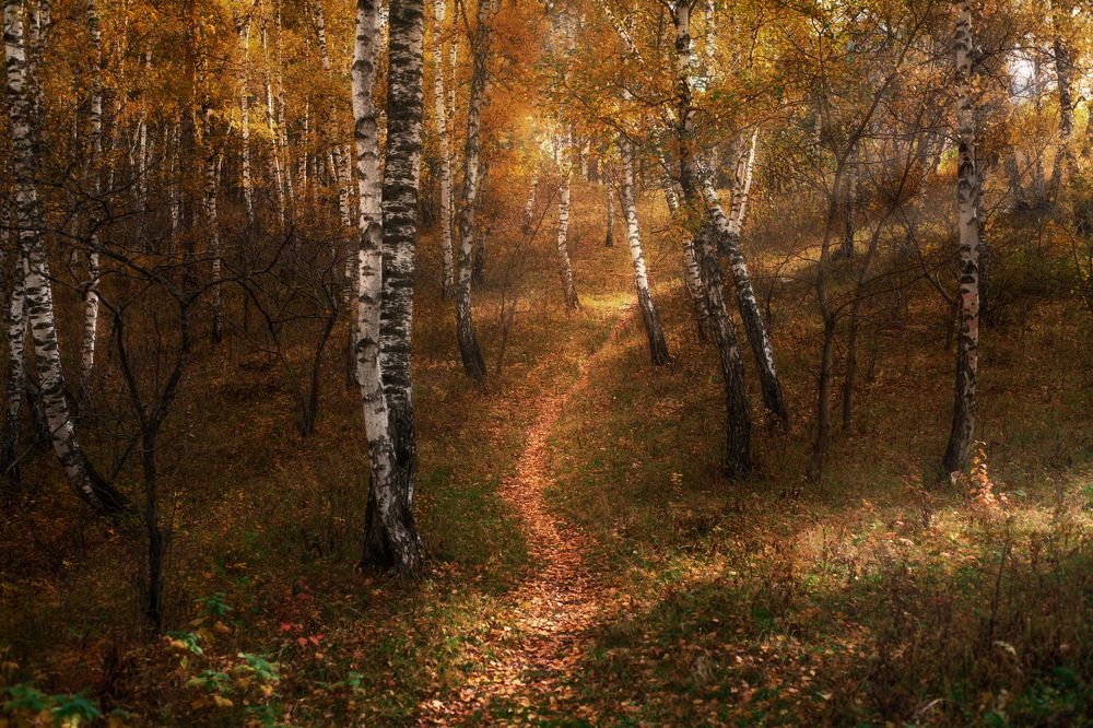 Photograph by Ольга Шацкая