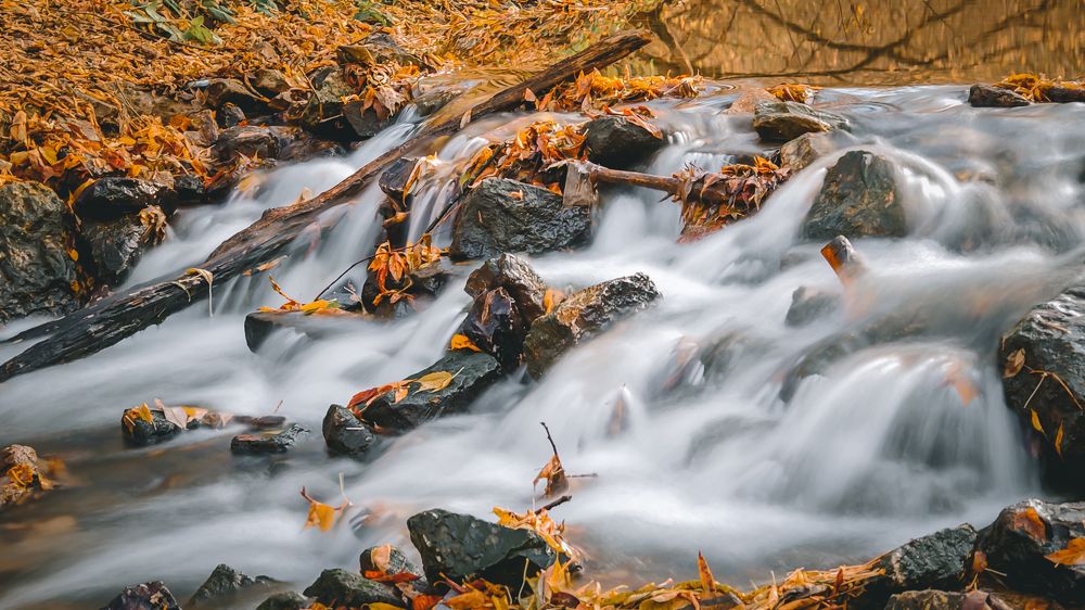 Photograph by Максим Кутсар