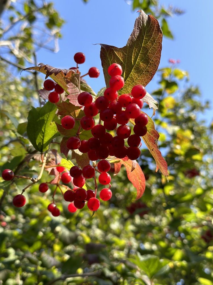 Photograph by Юлия