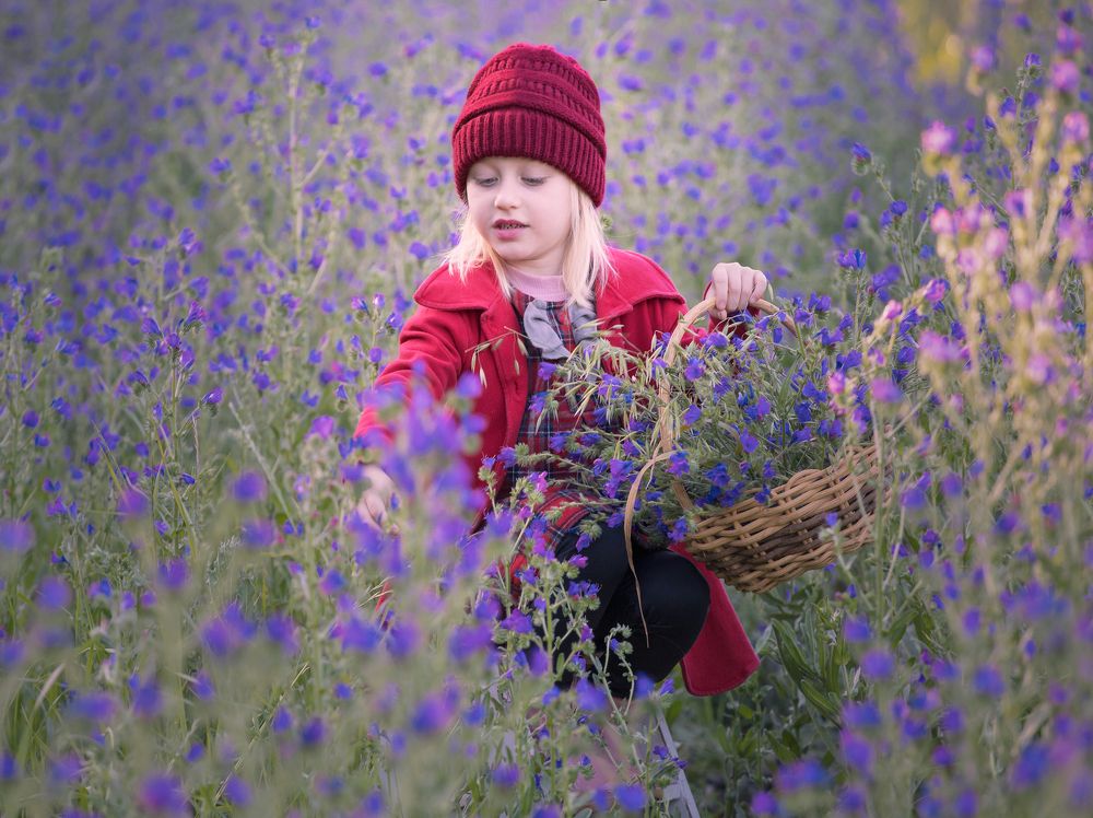 Photograph by Haiga Hobus