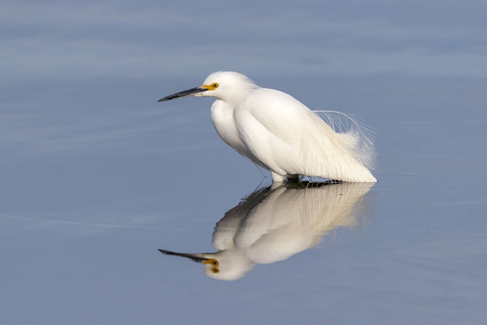Фотография автора Maria Paz Lira Eyzaguirre