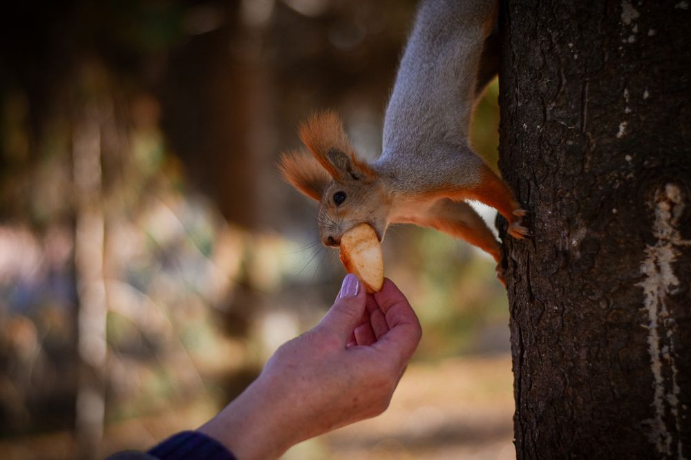 Photograph by Elvira